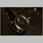 Gelbgold_mit_Aquamarin.jpg